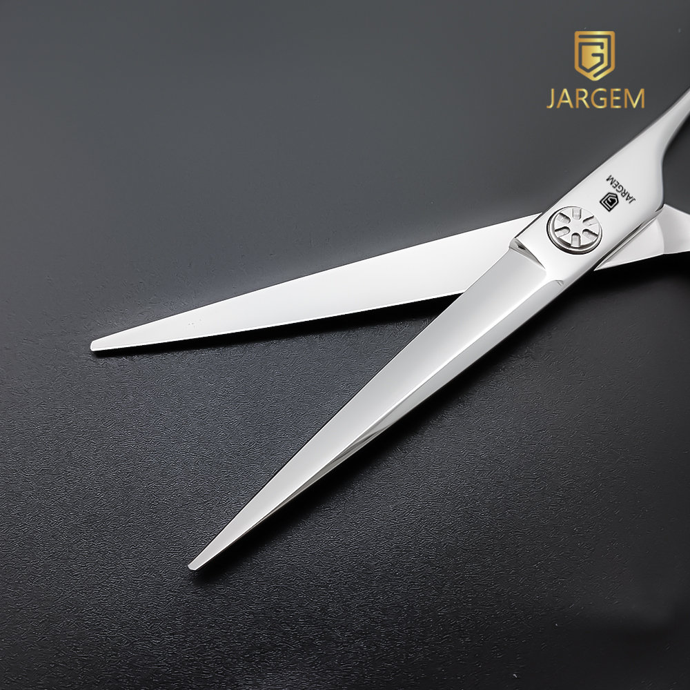 J28-60D / 6.0 Inch / Japan VG10 / Hair Scissors Top Reviews